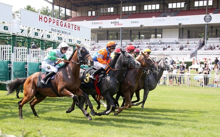 Startbox Rennbahn Berlin Hoppegarten