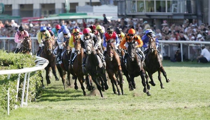 Flachrennen am Beispiel Deutsches Galopper Derby