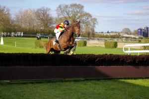 Hindernisrennen Galopp bei Pferdewetten